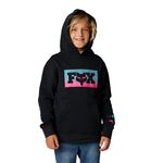 _Sweat-Shirt à Capuche Enfant Fox Nuklr | 29972-001-P | Greenland MX_